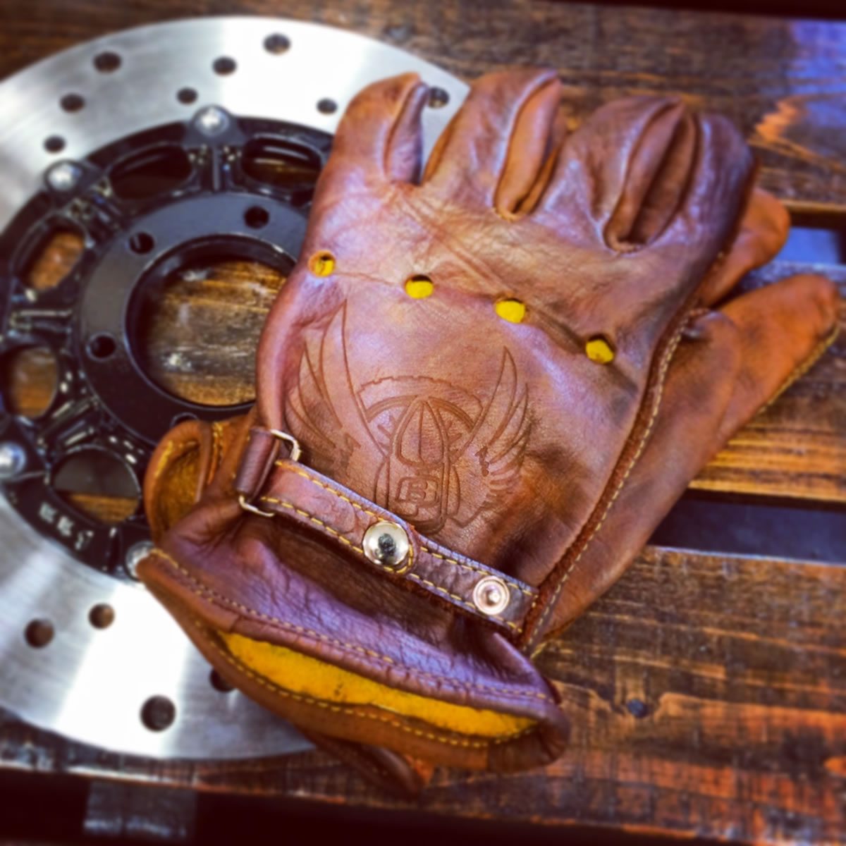Motorcycle Glove and Rotor