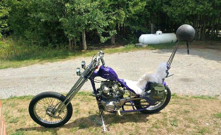 honda cb450 chopper on the lawn