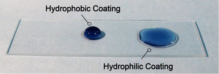 Hydrophobic vs Hydrophilic