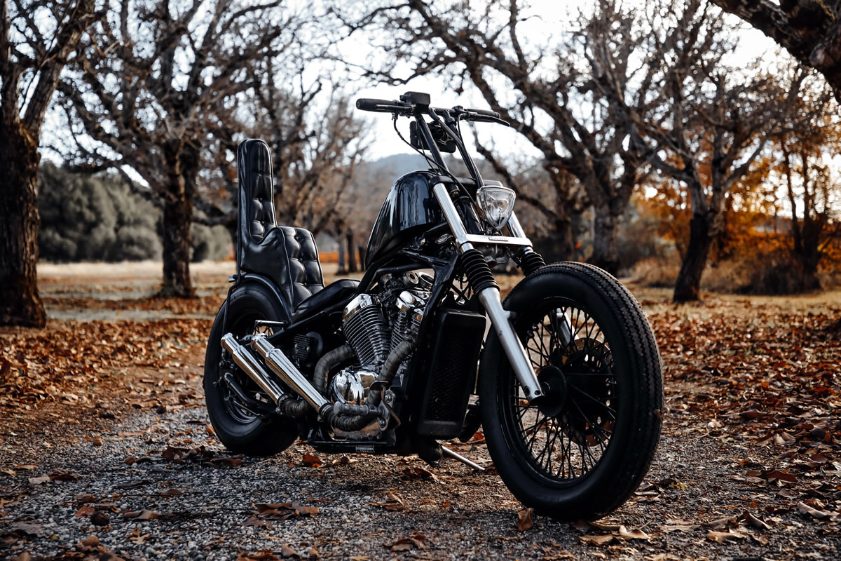 honda shadow bobber side profile