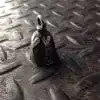 f you guardian bell